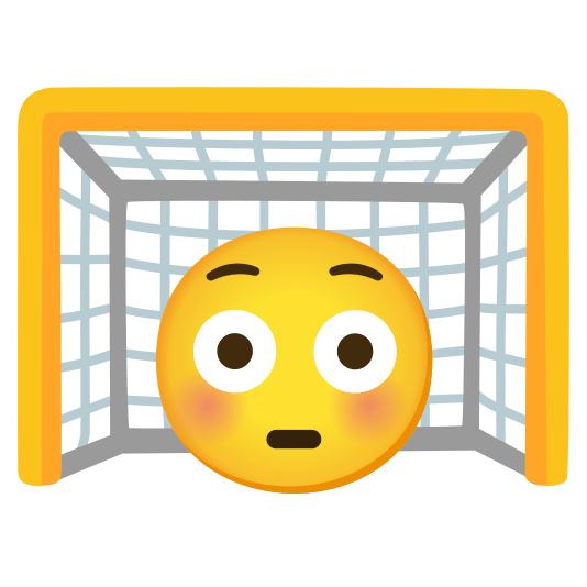 goal net flushed