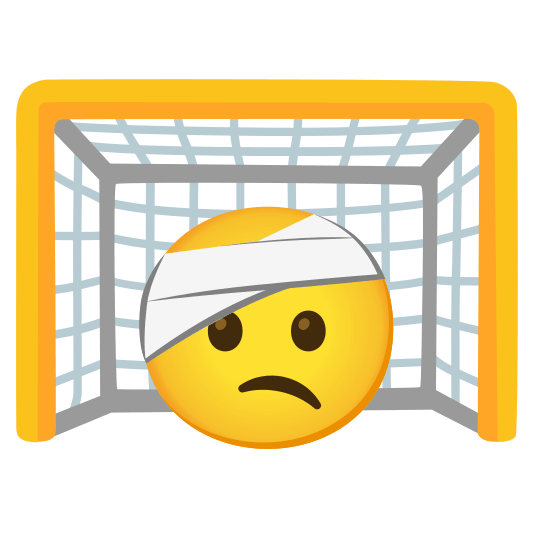 goal net face with head bandage