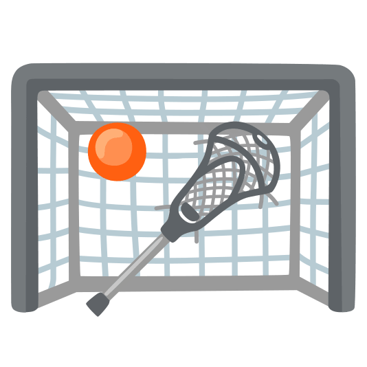 goal net lacrosse