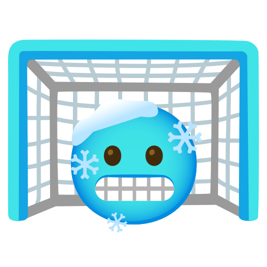 goal net cold face