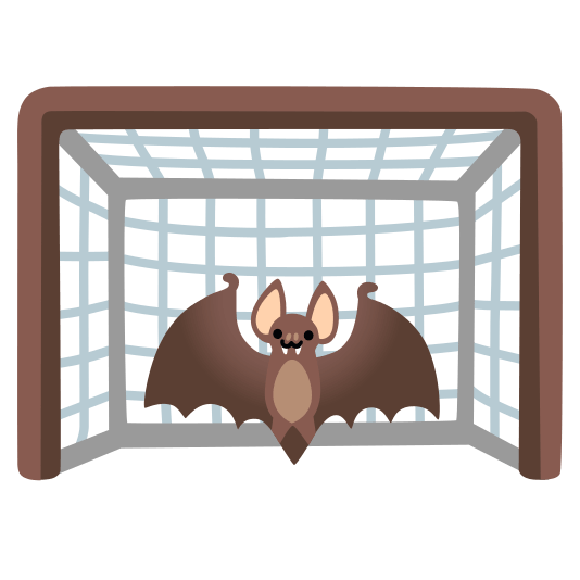 goal net bat