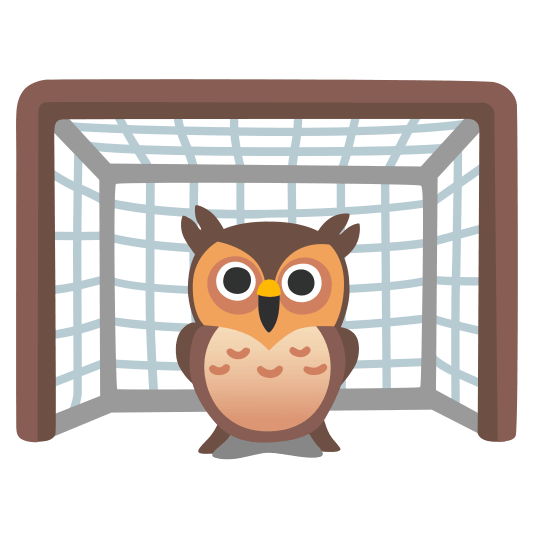 goal net owl