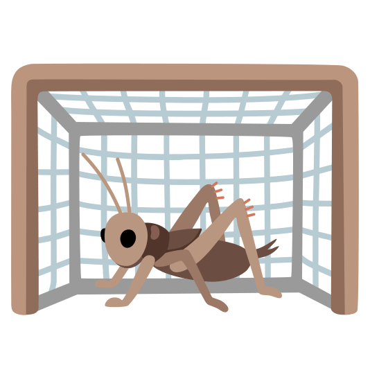 goal net cricket