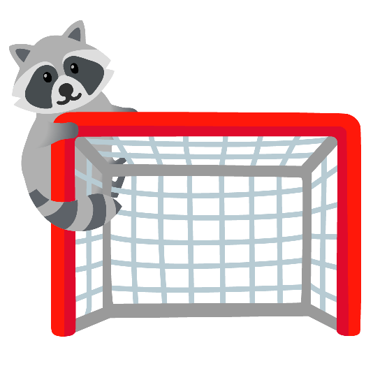goal net raccoon