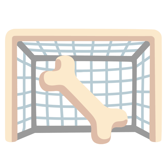 goal net bone
