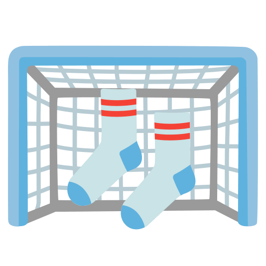 goal net socks