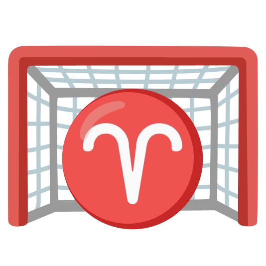 goal net aries