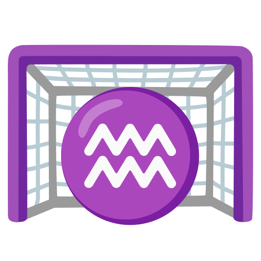 goal net aquarius