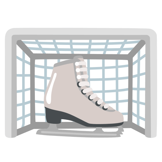 goal net ice skate