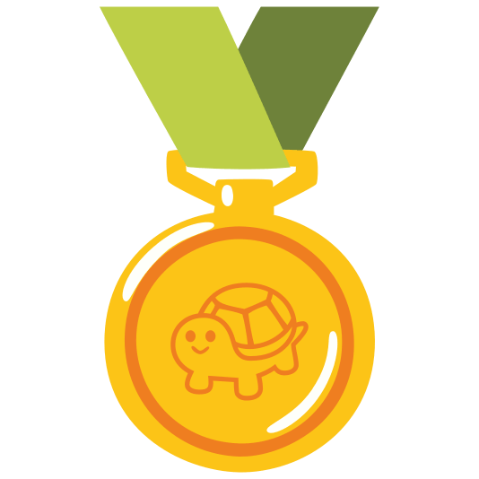 first place medal turtle