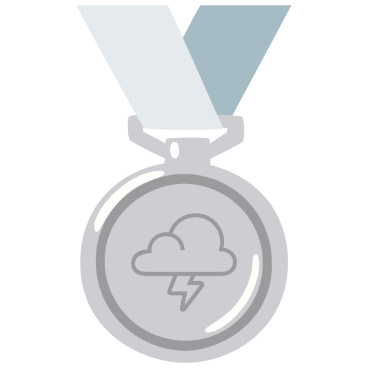 second place medal lightning