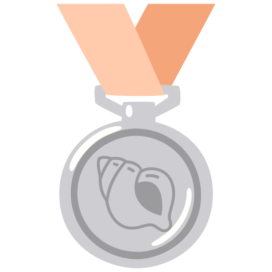 second place medal shell