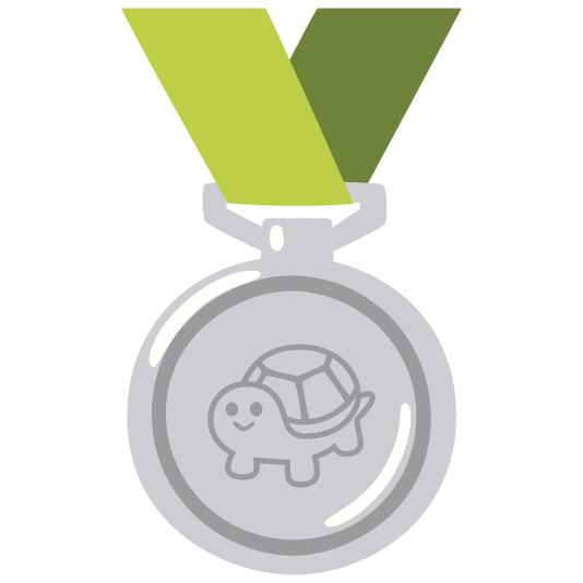 second place medal turtle