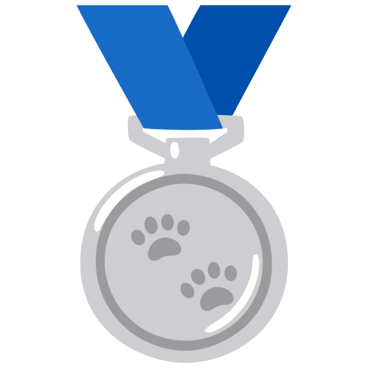 second place medal feet