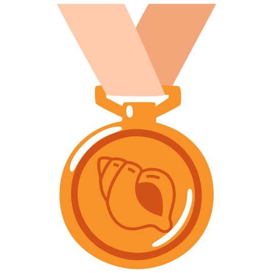 third place medal shell