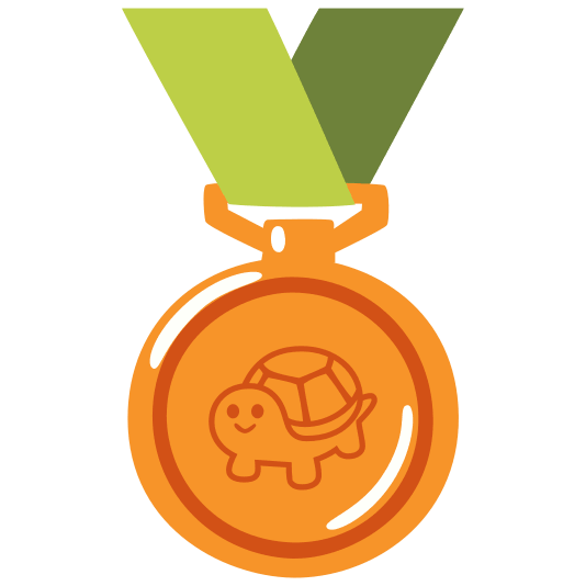 third place medal turtle