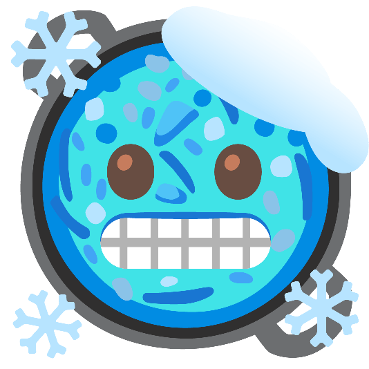 shallow pan of food cold face