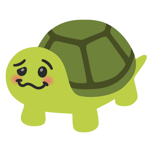woozy face turtle
