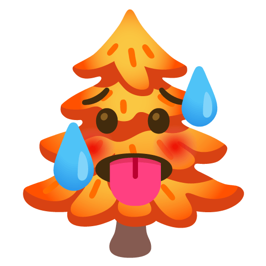 hot face evergreen tree