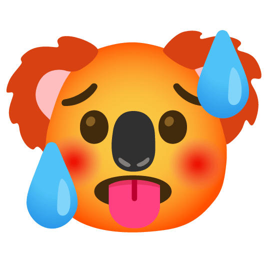 hot face koala