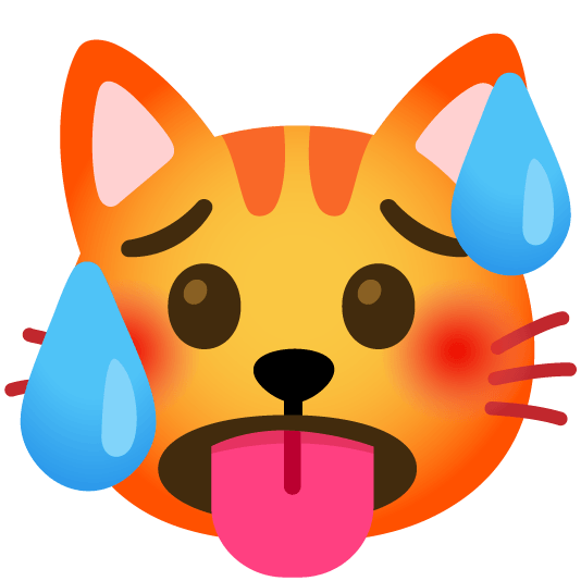 hot face cat