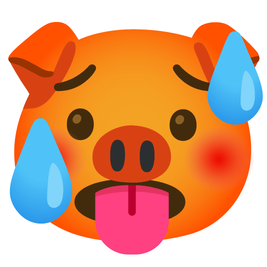 hot face pig