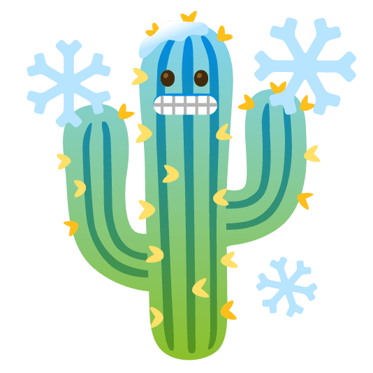 cold face cactus
