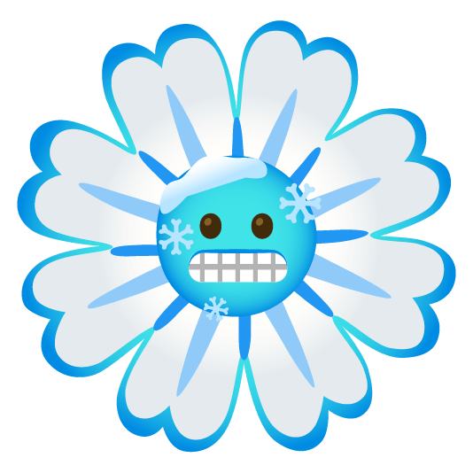 cold face blossom