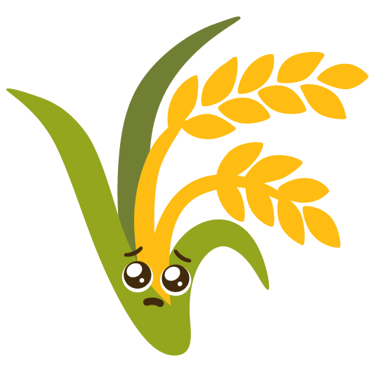 pleading face ear of rice