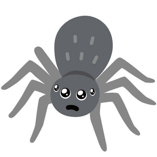 pleading face spider