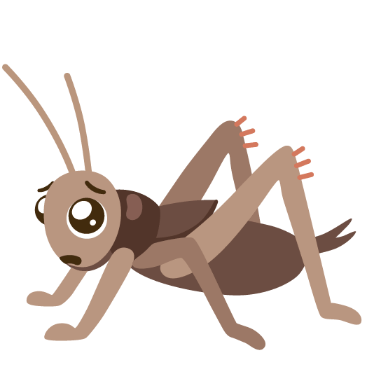 pleading face cricket