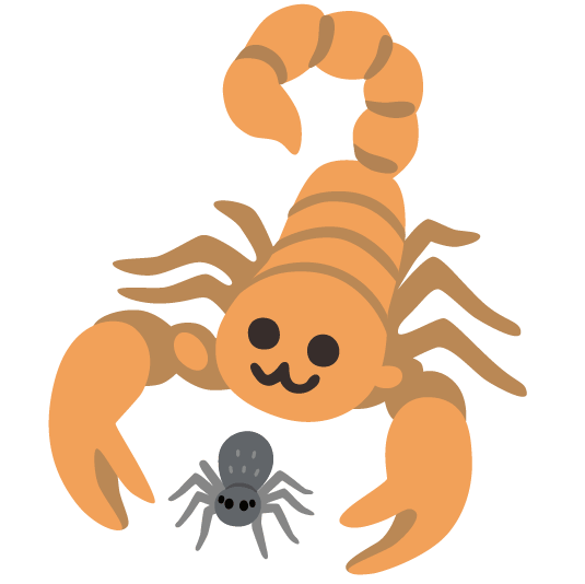 scorpion spider