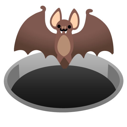 bat hole