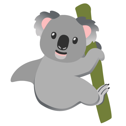 shark koala