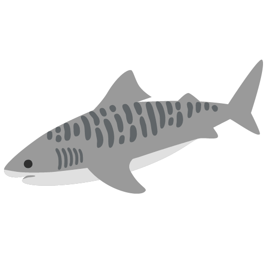 shark tiger