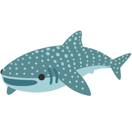 shark whale