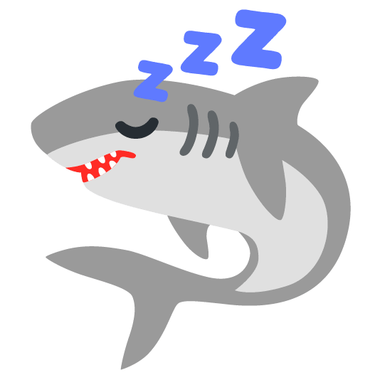 shark sleeping