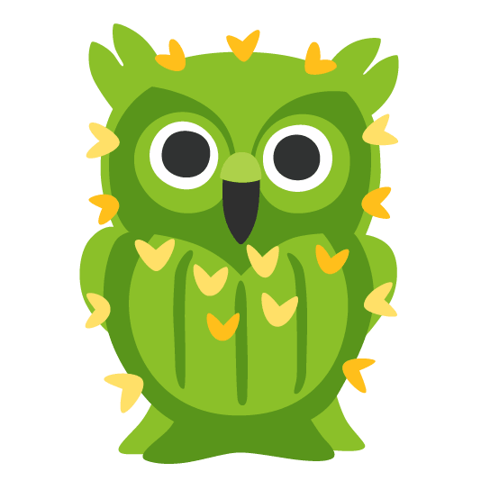 owl cactus