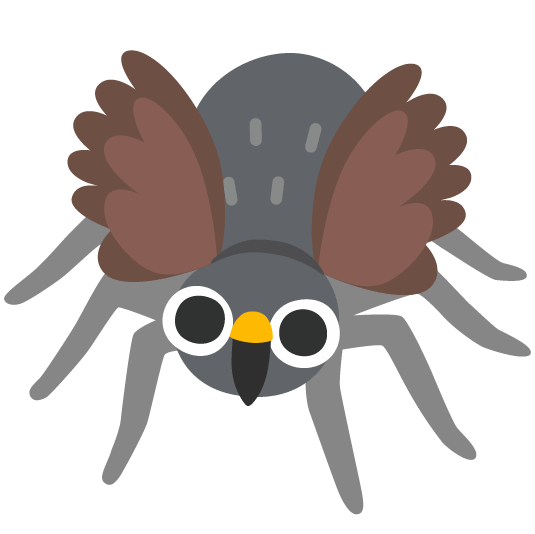 owl spider