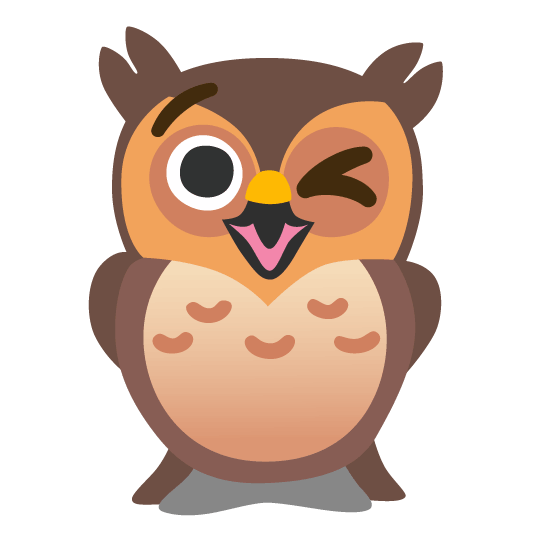 owl wink