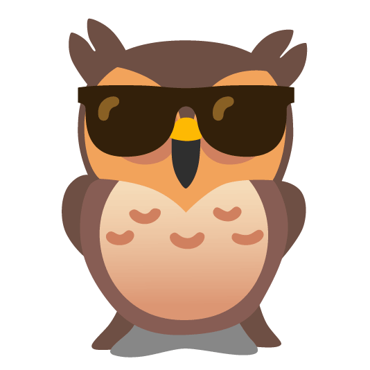 owl sunglasses