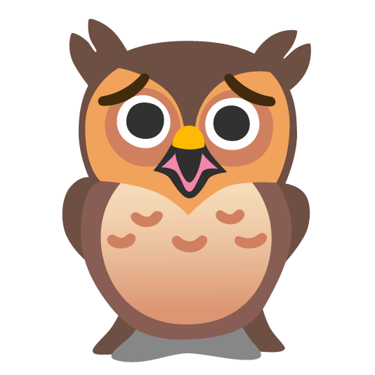 owl worried