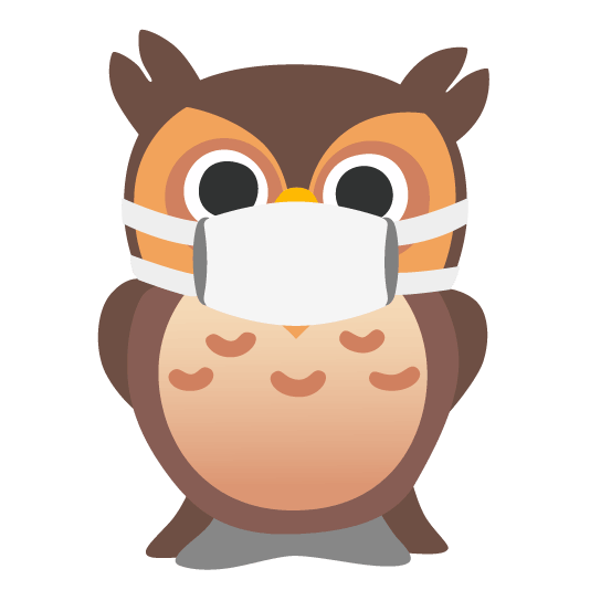 owl mask