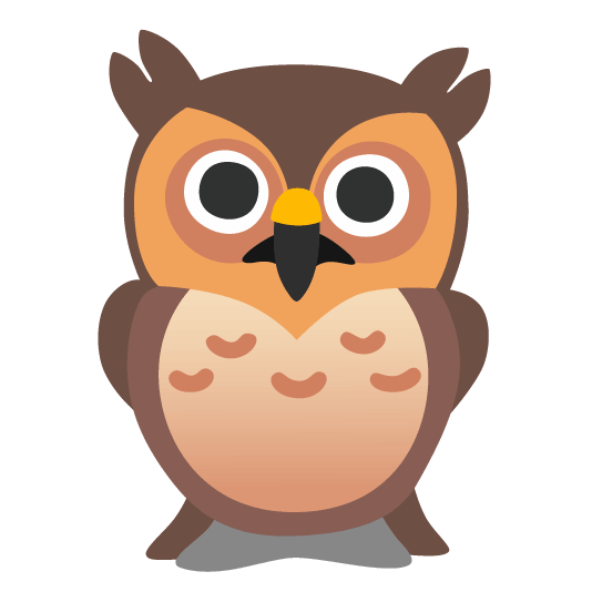 owl slightly frowning face