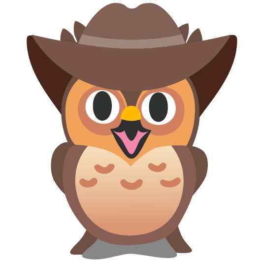 owl face with cowboy hat
