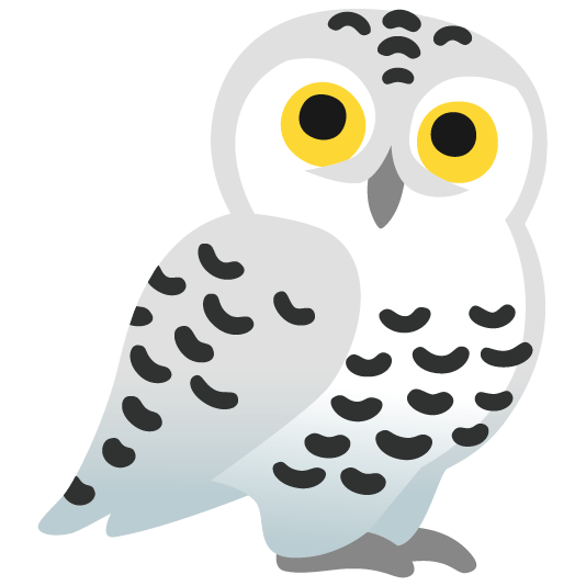 owl snowman without snow