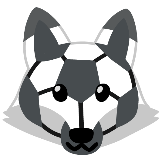 fox face soccer