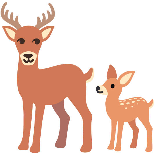 deer deer