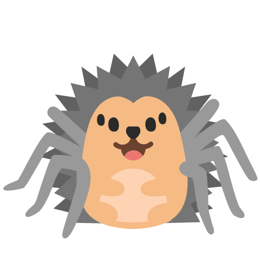 hedgehog spider