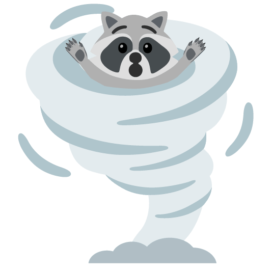 raccoon tornado